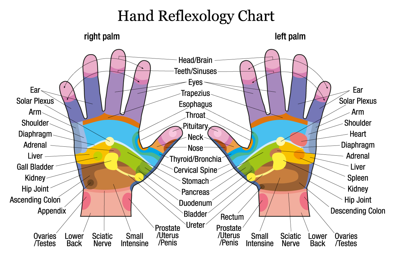 Hand-Reflexology_Chart